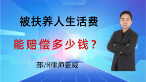 邳州交通事故律师-被扶养人生活费